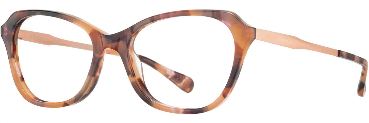 Alan J AJ520 Eyeglasses - view 6